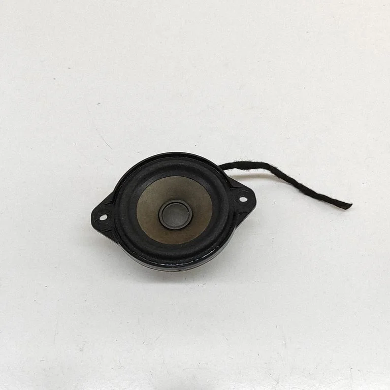 Armatuurlaua kõlar 100483301A