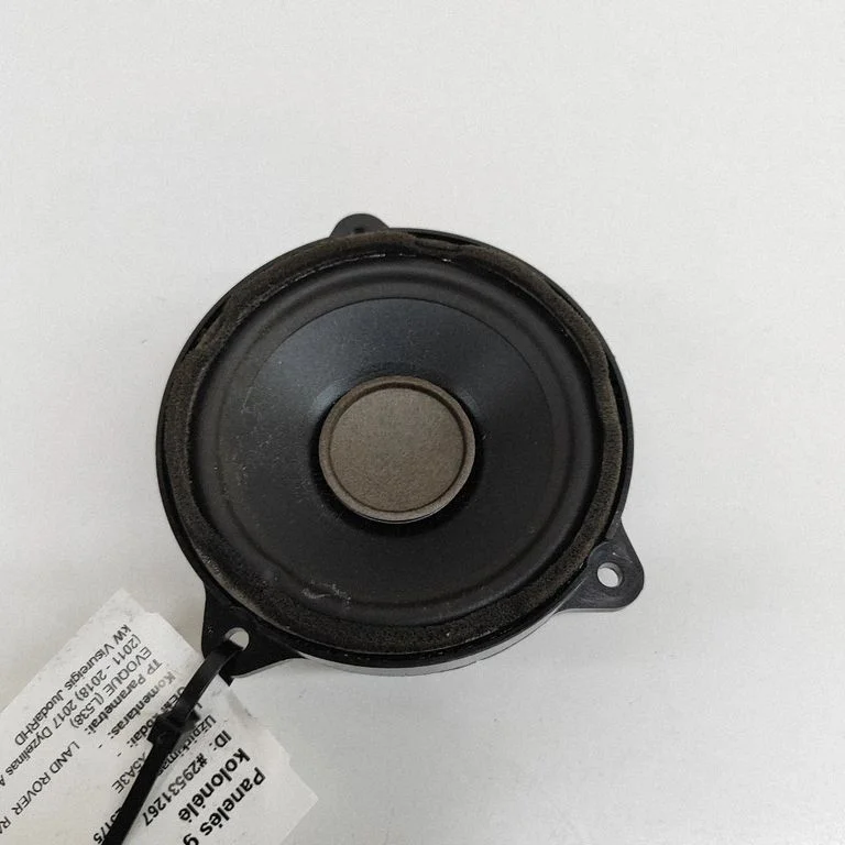 Panel speaker BJ3218808BB