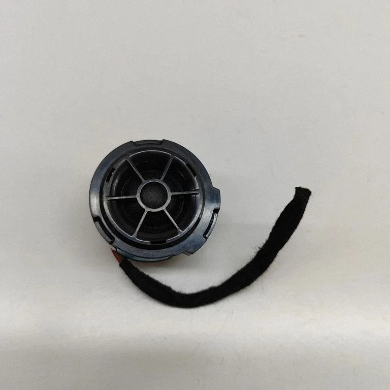 Panel speaker 4M0035399D