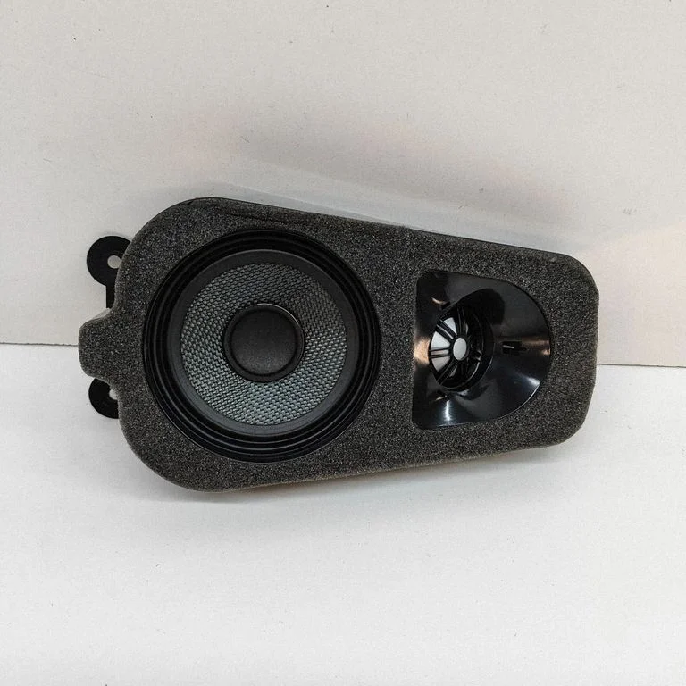 Skaļrunis panelī – BMW X5 F15 (2013-2017)