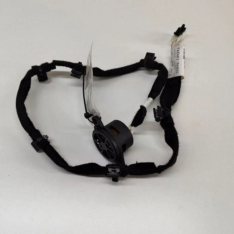 Skaļrunis panelī – Nissan Qashqai J12 (2021-)