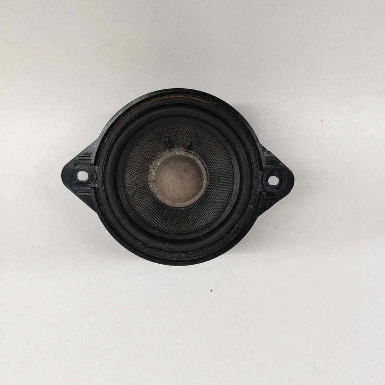 Skaļrunis panelī 8R0035416