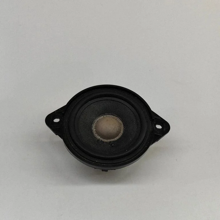 Skaļrunis panelī 8R0035416