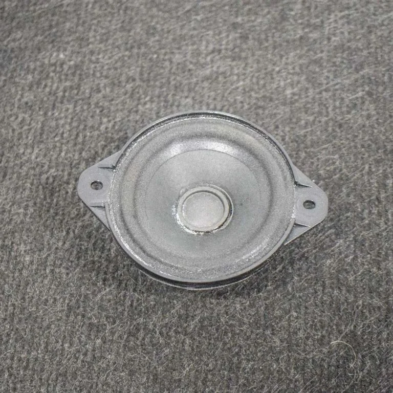 Skaļrunis panelī 1000346001