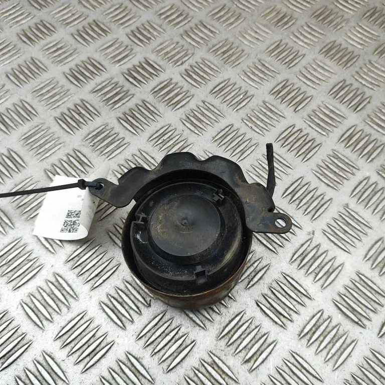 Signaalpasun 04692034AB