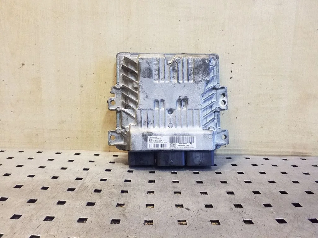 Engine control unit/module 9800268980