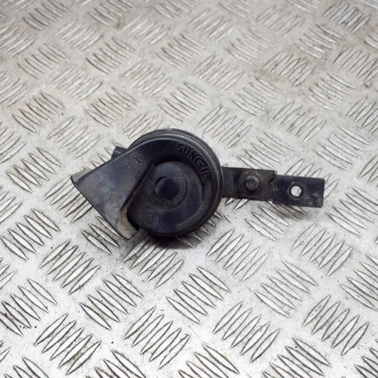 Signaalpasun 866214D000