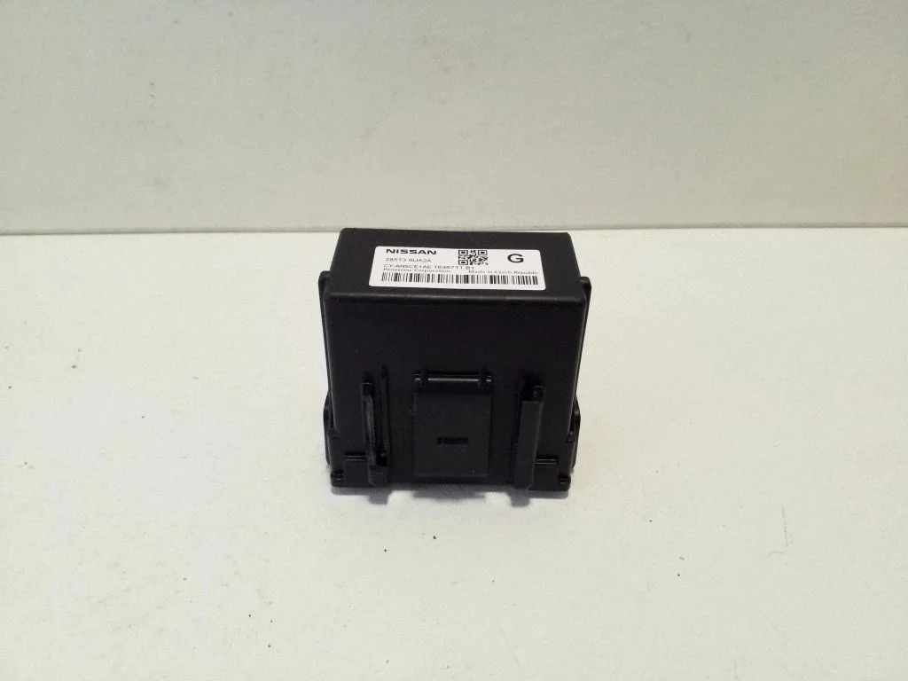 Other control units/modules – Nissan Qashqai J12 (2021-)