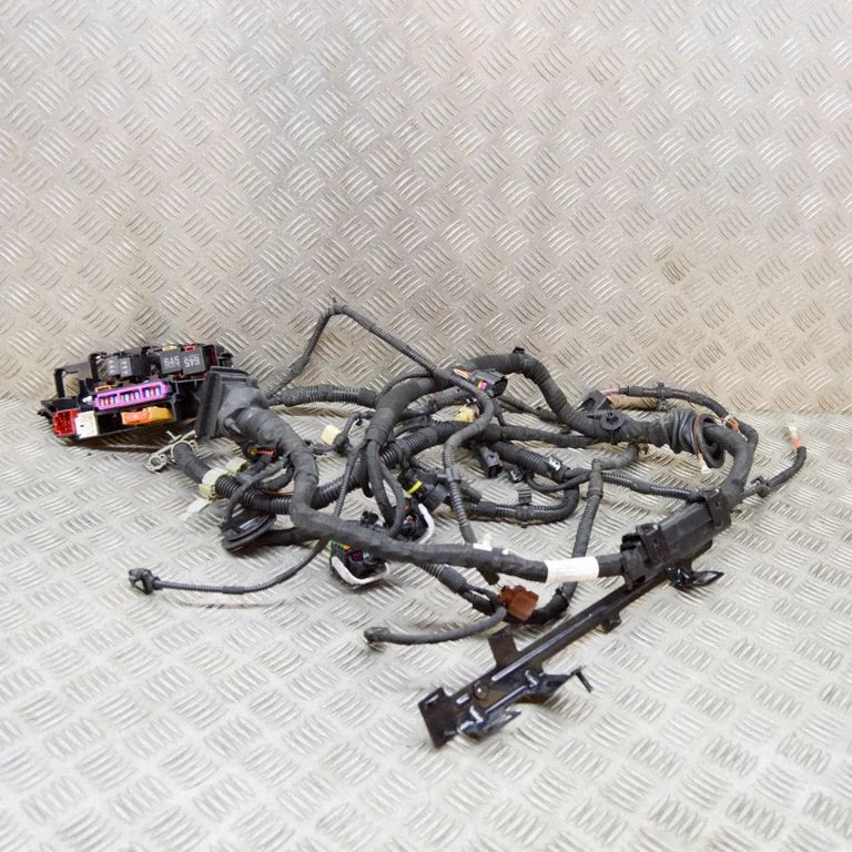 Mootori juhtmestik 95B971072DP