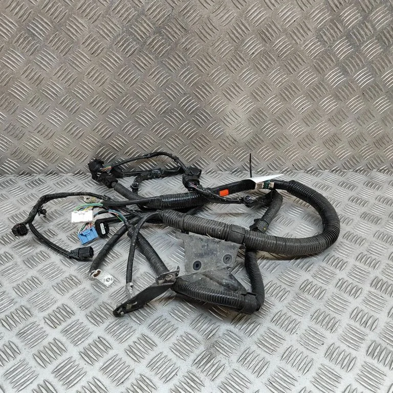Mootori juhtmestik DN4J67250