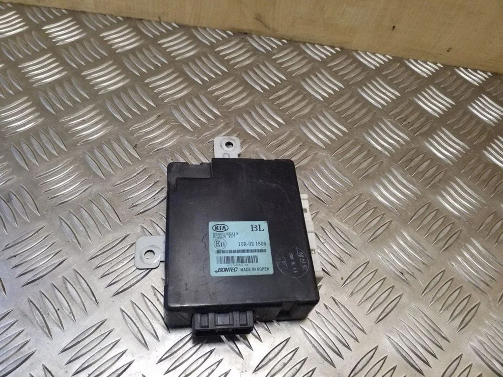 Citi vadības bloki/moduļi 954003E310