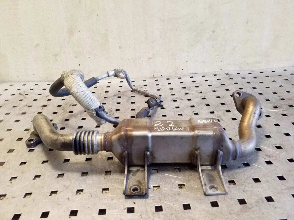EGR-klapi jahuti 256800R01000
