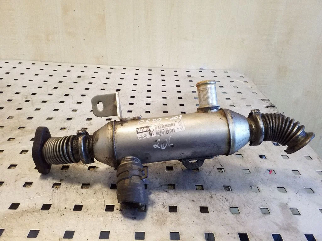 EGR-klapi jahuti – Peugeot 307 (2001-2005)