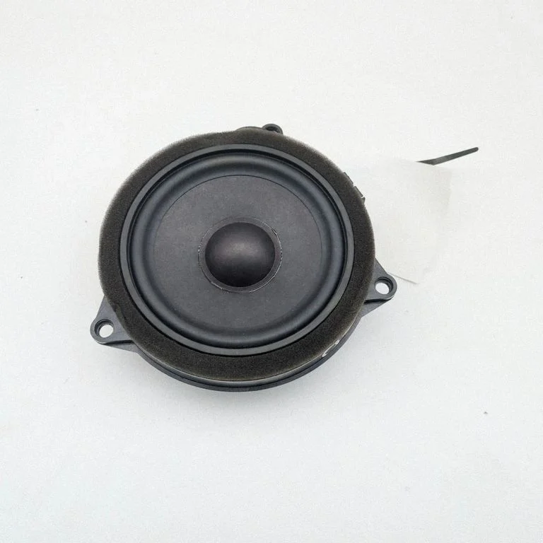 Tagaukse kõlar(id) 262251803