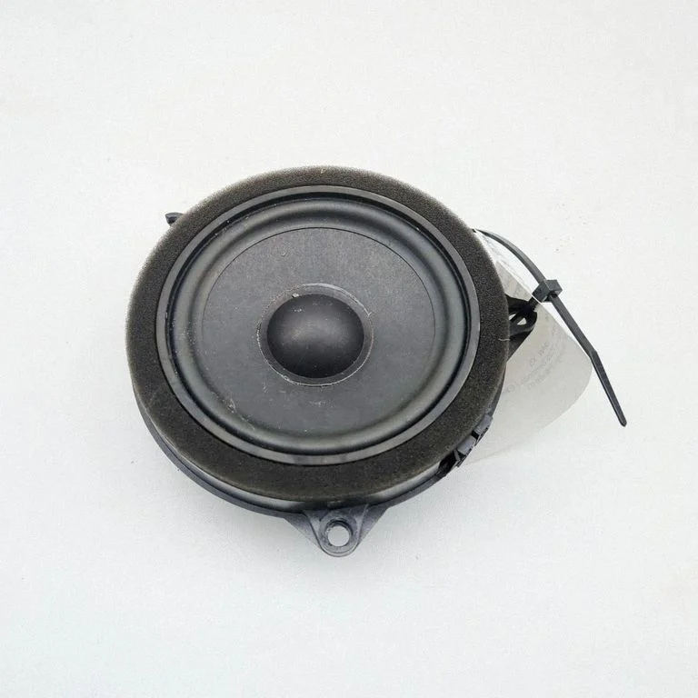 Tagaukse kõlar(id) 2622518