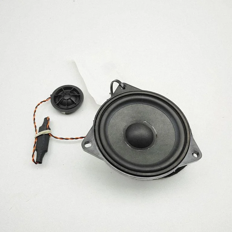 Tagaukse kõlar(id) 6809632