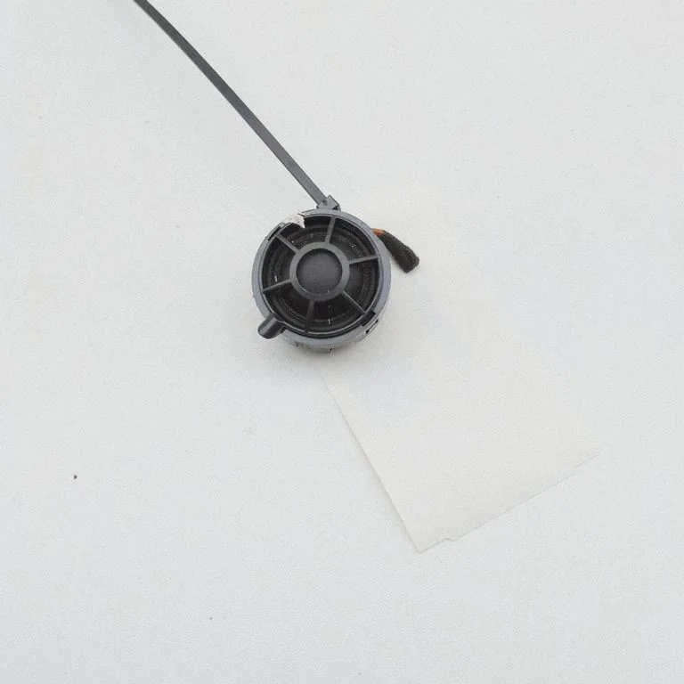 Skaļrunis (-ņi) aizmugurējās durvīs 971035412