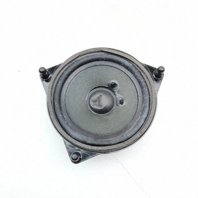 Skaļrunis (-ņi) aizmugurējās durvīs A2138201000