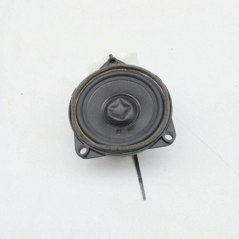 Tagaukse kõlar(id) 971035415C