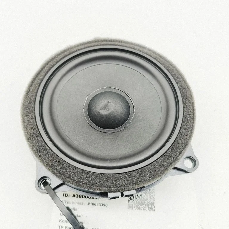 Tagaukse kõlar(id) 2622518