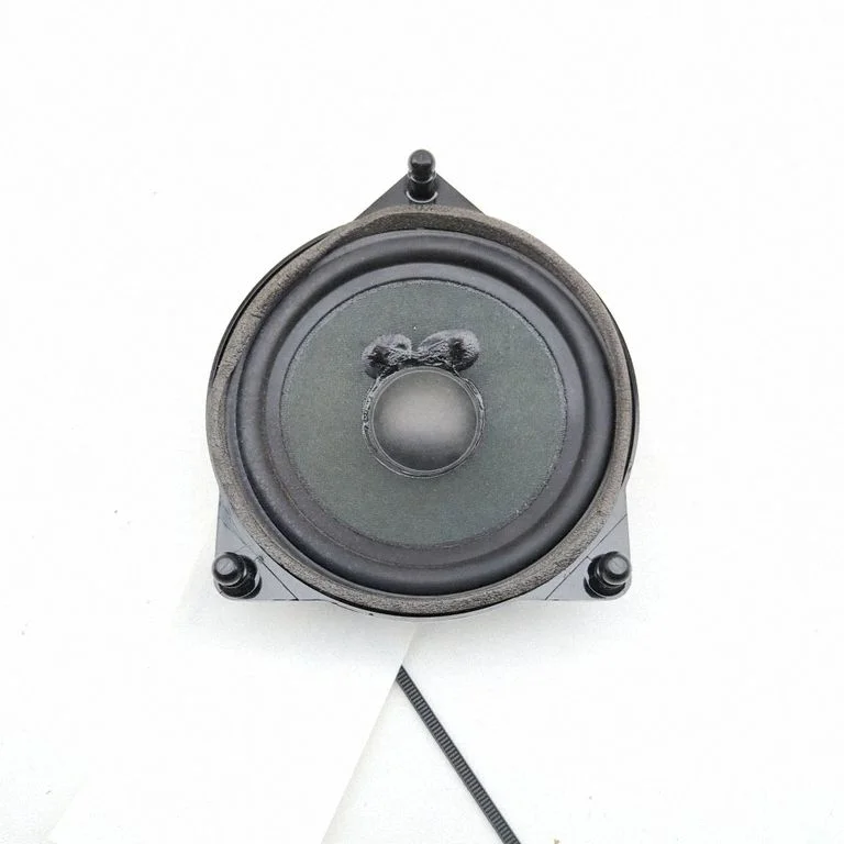 Skaļrunis (-ņi) aizmugurējās durvīs A2138201000