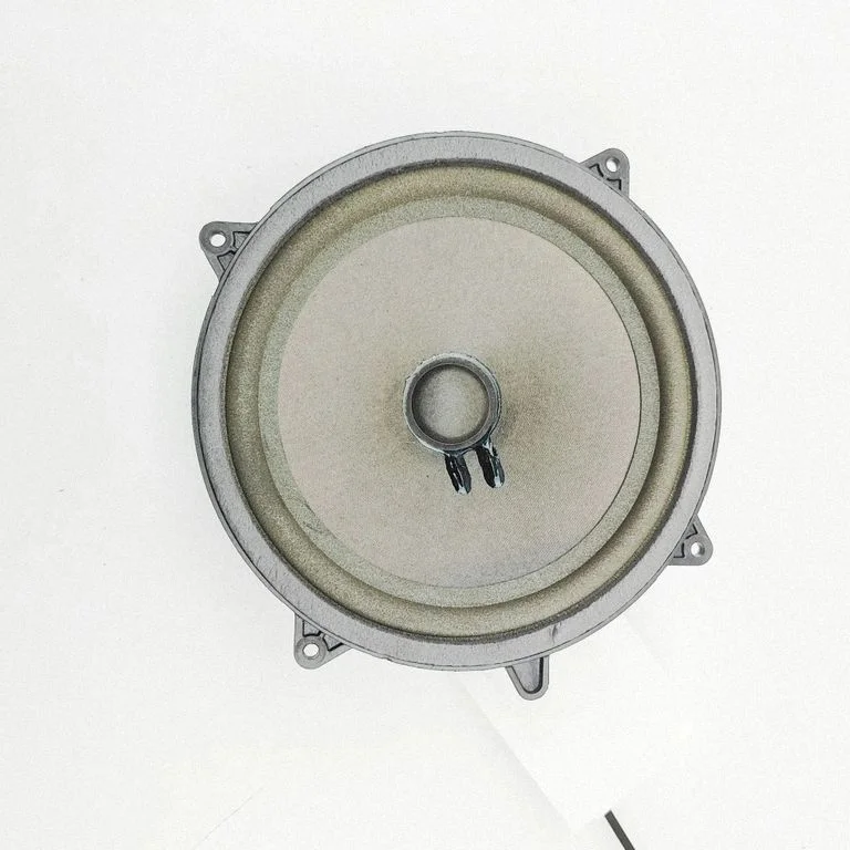 Skaļrunis (-ņi) aizmugurējās durvīs A4478271460
