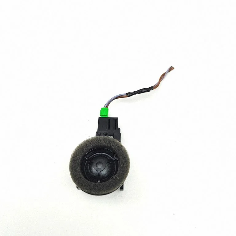 Skaļrunis (-ņi) aizmugurējās durvīs 31456836