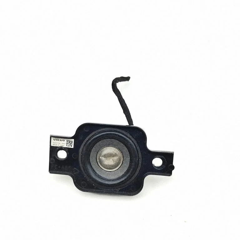 Rear door speaker