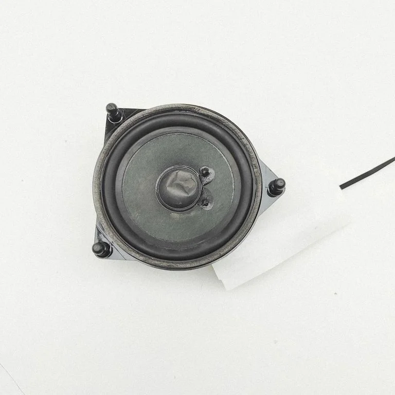 Skaļrunis (-ņi) aizmugurējās durvīs A2138201000
