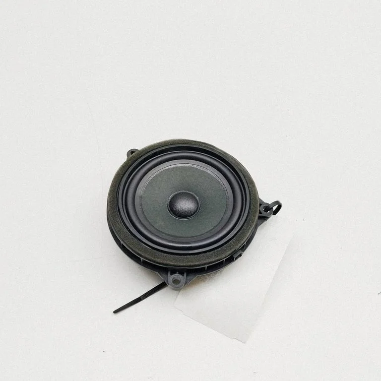 Tagaukse kõlar(id) 8715685