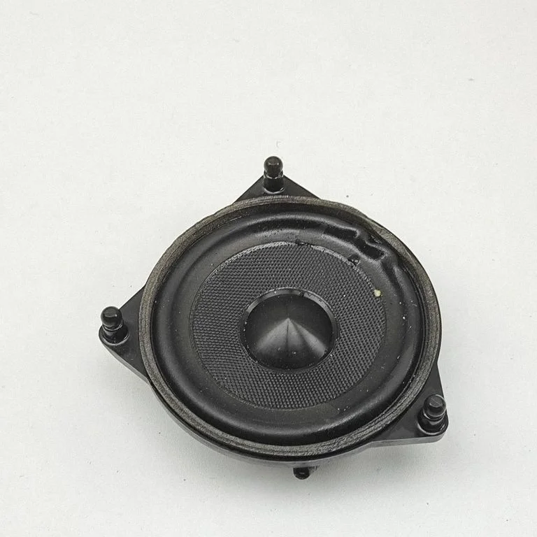 Skaļrunis (-ņi) aizmugurējās durvīs A2228201502