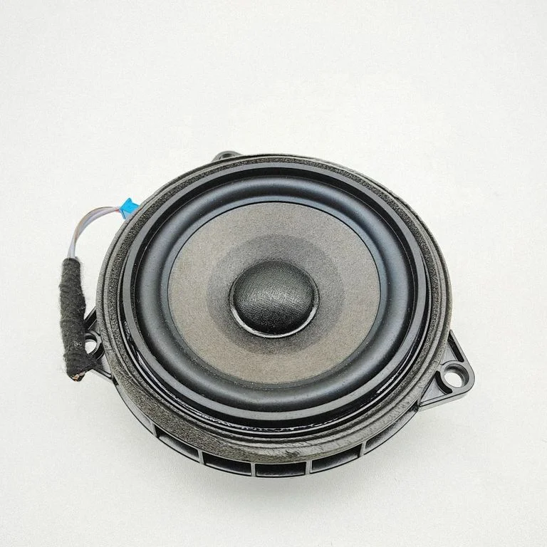 Tagaukse kõlar(id) 2622469
