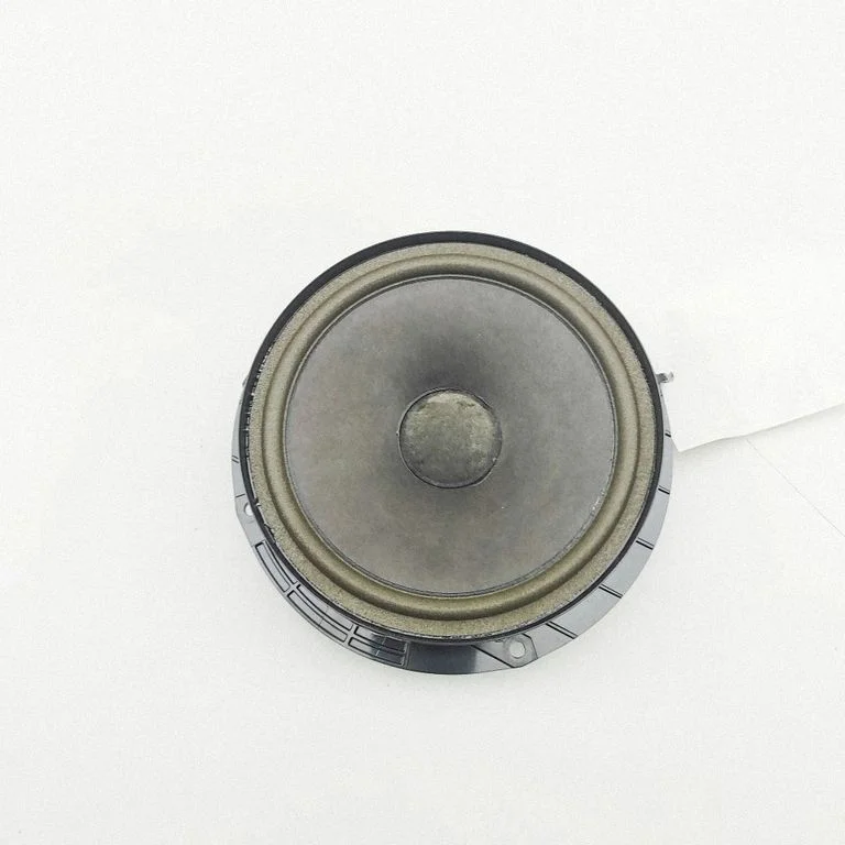 Skaļrunis (-ņi) aizmugurējās durvīs 3C8035453