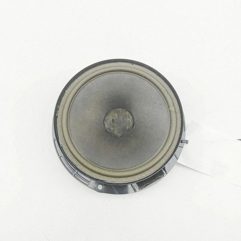 Skaļrunis (-ņi) aizmugurējās durvīs 900475460062