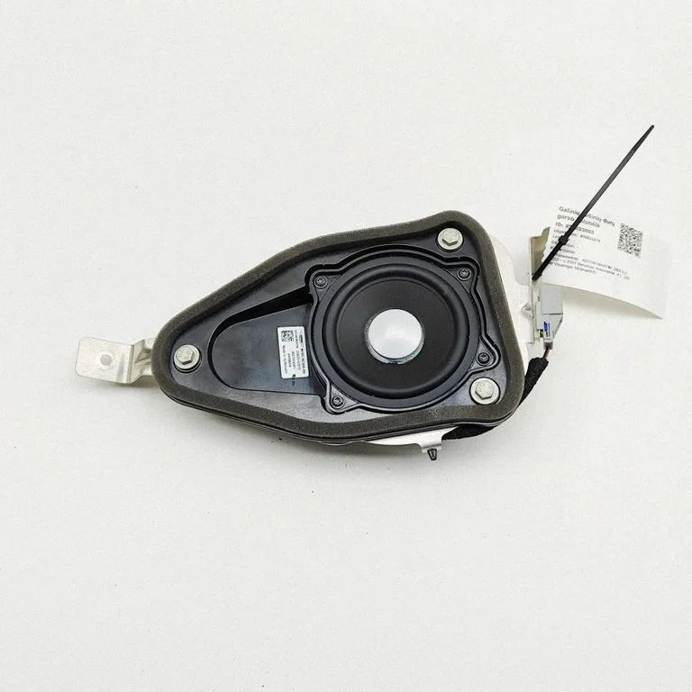 Rear door speaker – Aston Martin DBX (2020-)