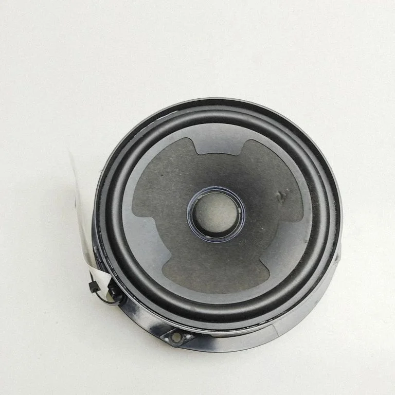 Rear door speaker – Volkswagen Passat B7 USA (2012-2019)