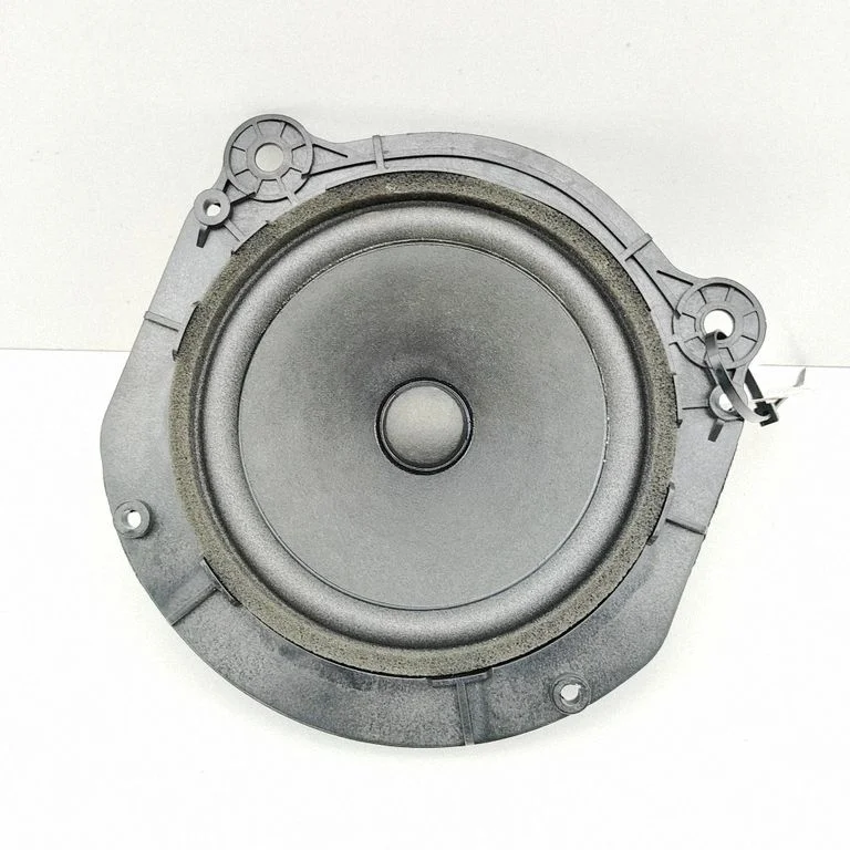 Głośnik w drzwiach tylnych 105070900B