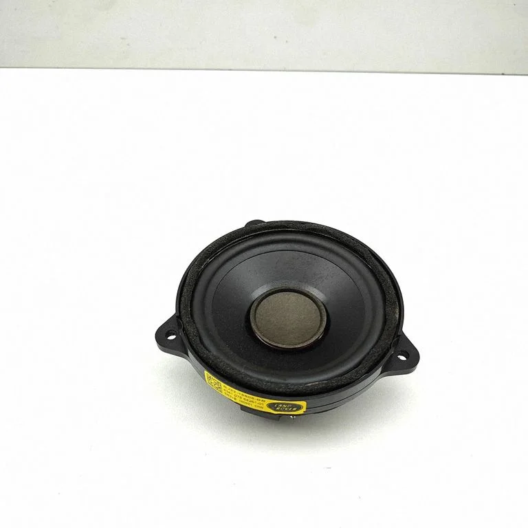 Skaļrunis (-ņi) aizmugurējās durvīs BJ3218808BB