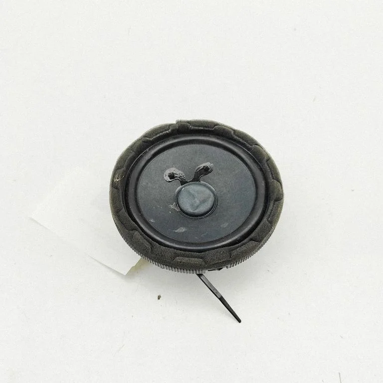 Rear door speaker A2238201300