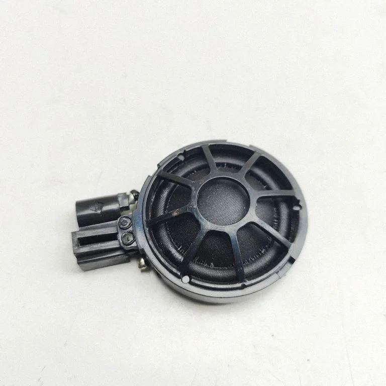 Rear door speaker 100483300A