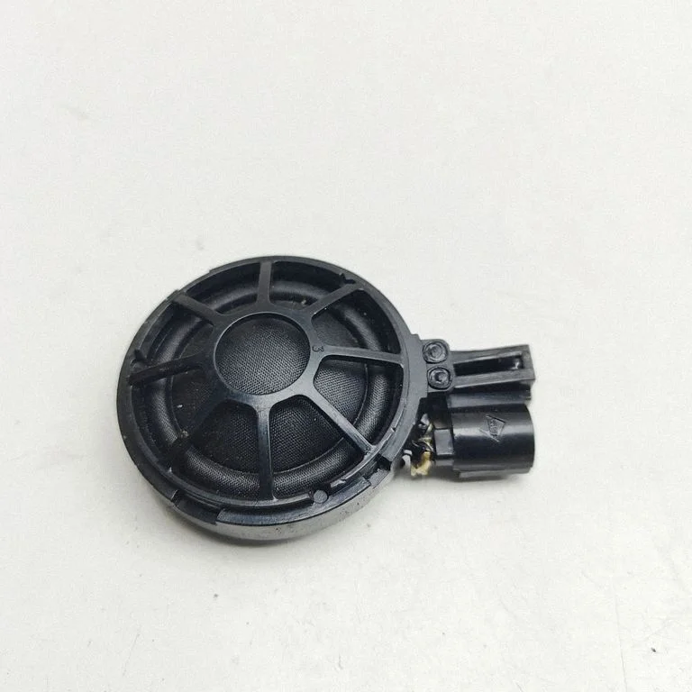 Rear door speaker 100483300A