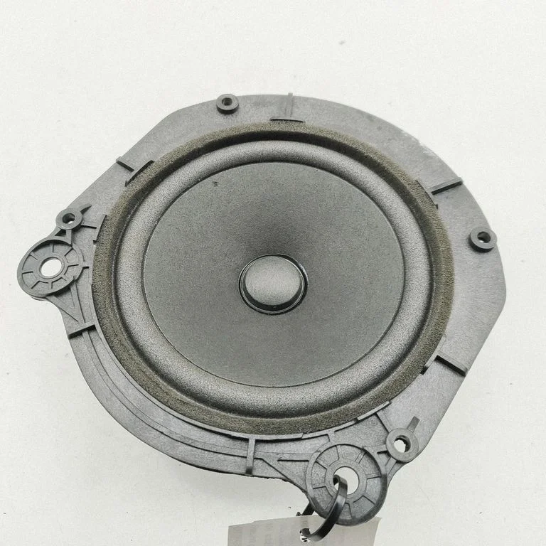 Rear door speaker 105070900B