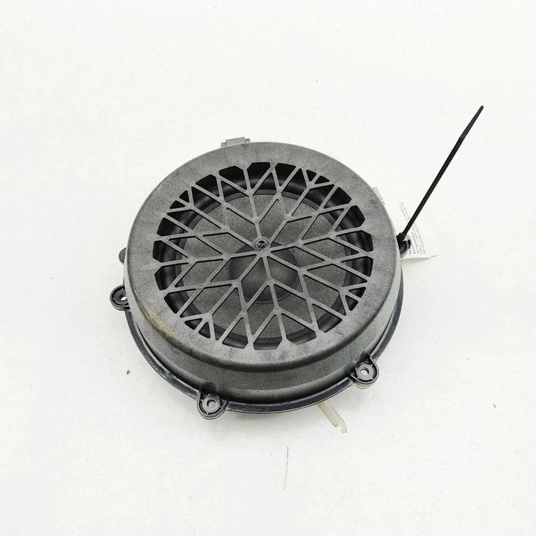 Rear door speaker – Audi E-tron GT (2021-)