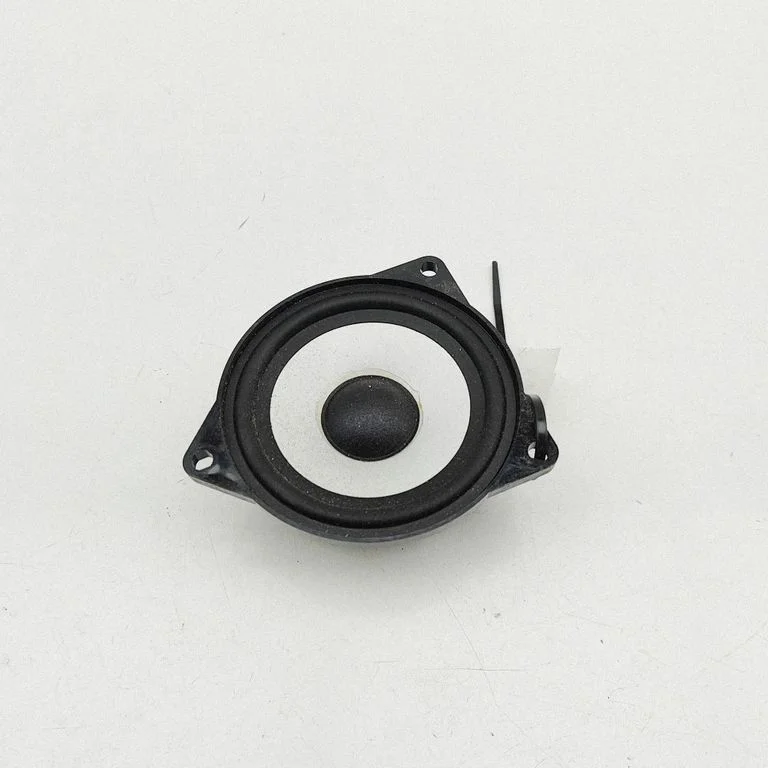Skaļrunis (-ņi) aizmugurējās durvīs – BMW iX3 (2020-2025)