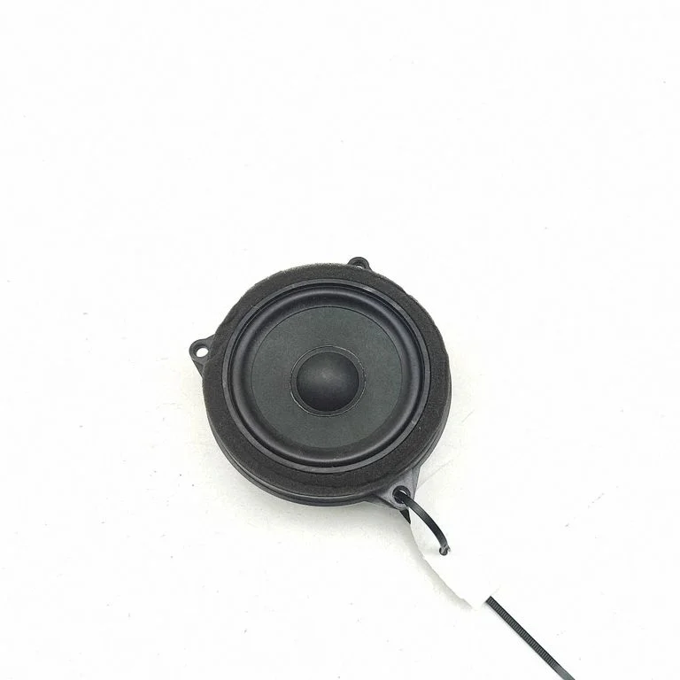 Rear door speaker – BMW X4 G02 (2018-)