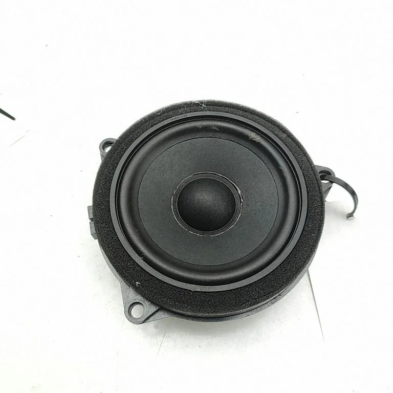 Rear door speaker 2622518