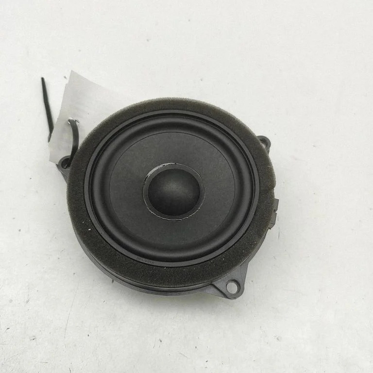 Tagaukse kõlar(id) 2622518