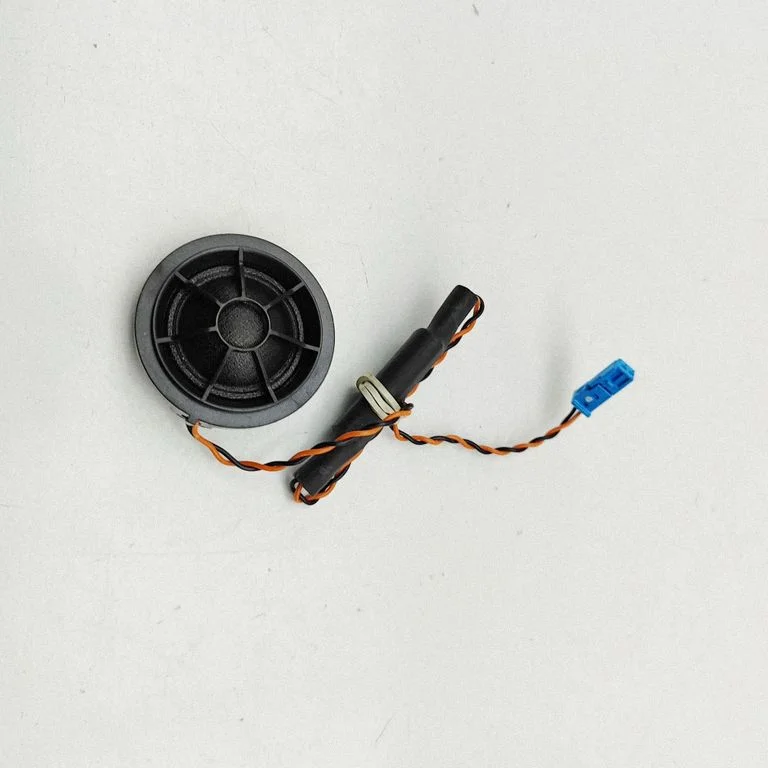 Skaļrunis (-ņi) aizmugurējās durvīs 6809632