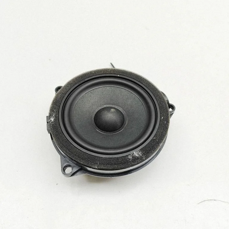 Rear door speaker 2622518