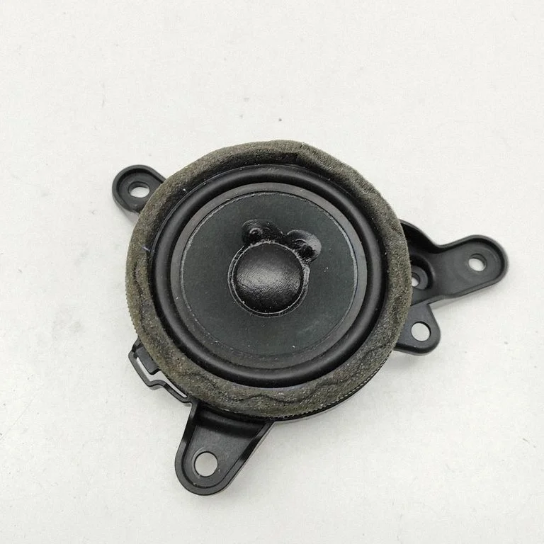 Rear door speaker A2578201100